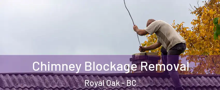  Chimney Blockage Removal Royal Oak - BC