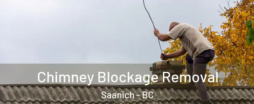 Chimney Blockage Removal Saanich - BC