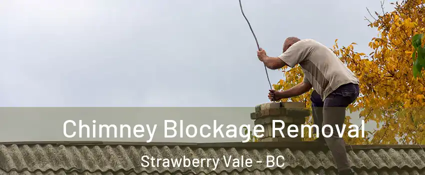 Chimney Blockage Removal Strawberry Vale - BC