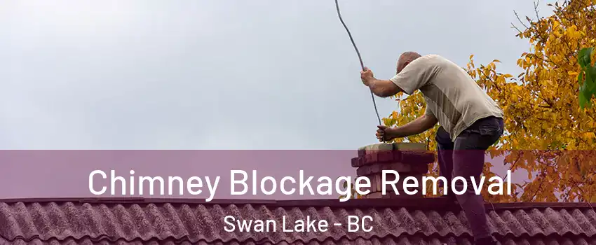  Chimney Blockage Removal Swan Lake - BC