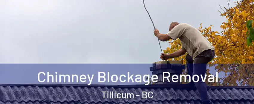  Chimney Blockage Removal Tillicum - BC