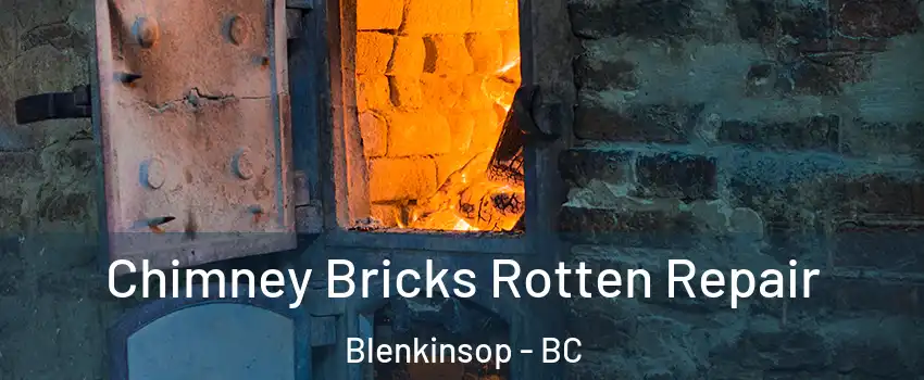  Chimney Bricks Rotten Repair Blenkinsop - BC