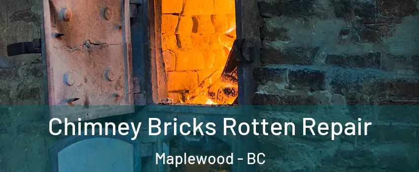 Chimney Bricks Rotten Repair Maplewood - BC