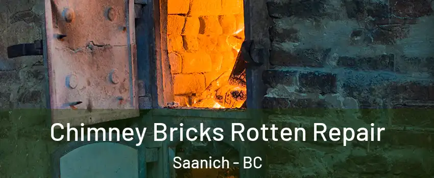 Chimney Bricks Rotten Repair Saanich - BC