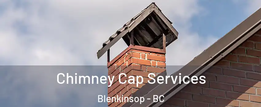 Chimney Cap Services Blenkinsop - BC