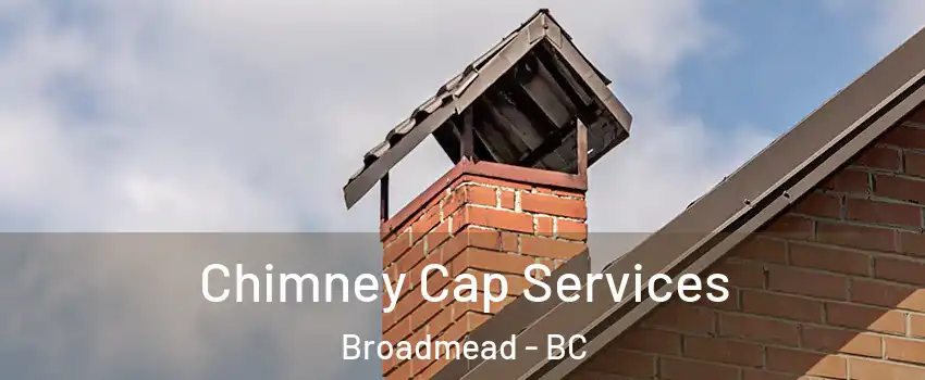  Chimney Cap Services Broadmead - BC