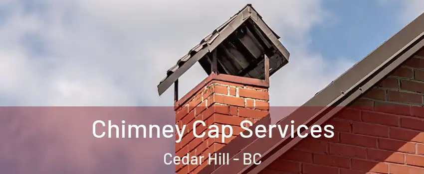 Chimney Cap Services Cedar Hill - BC