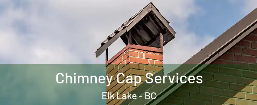  Chimney Cap Services Elk Lake - BC