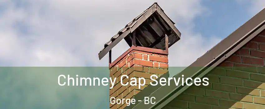  Chimney Cap Services Gorge - BC