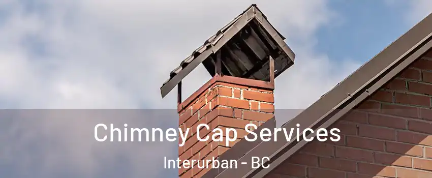  Chimney Cap Services Interurban - BC