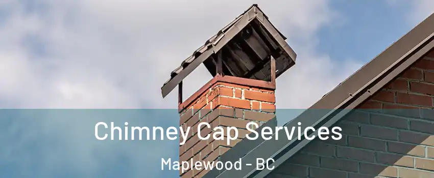  Chimney Cap Services Maplewood - BC