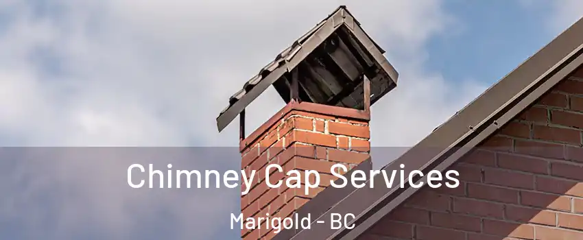  Chimney Cap Services Marigold - BC