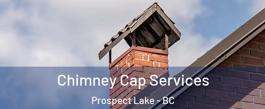  Chimney Cap Services Prospect Lake - BC