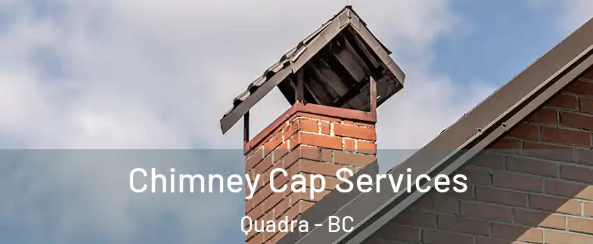  Chimney Cap Services Quadra - BC
