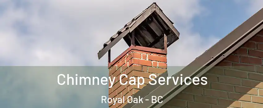  Chimney Cap Services Royal Oak - BC