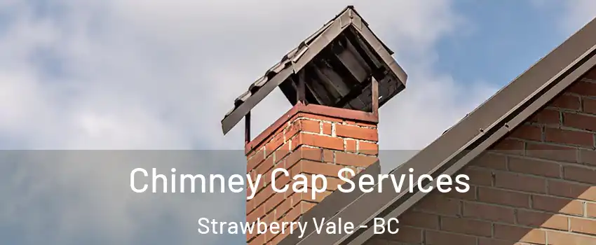  Chimney Cap Services Strawberry Vale - BC