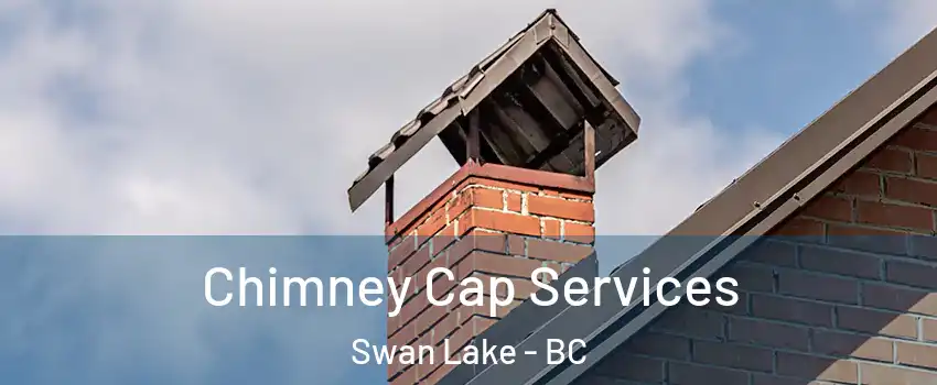  Chimney Cap Services Swan Lake - BC