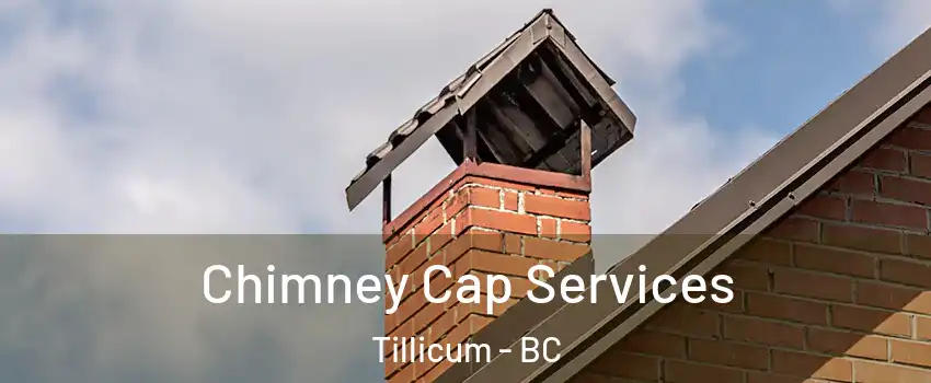  Chimney Cap Services Tillicum - BC