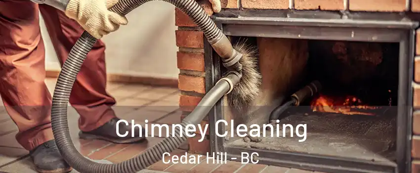  Chimney Cleaning Cedar Hill - BC