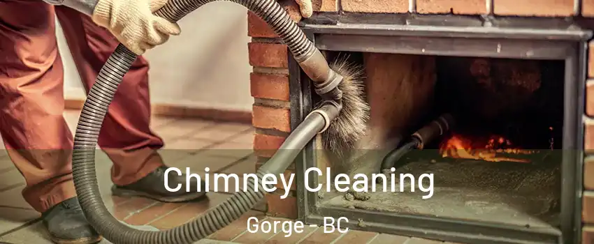  Chimney Cleaning Gorge - BC