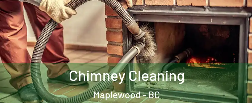  Chimney Cleaning Maplewood - BC