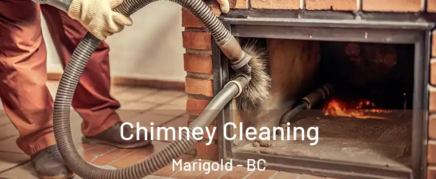  Chimney Cleaning Marigold - BC