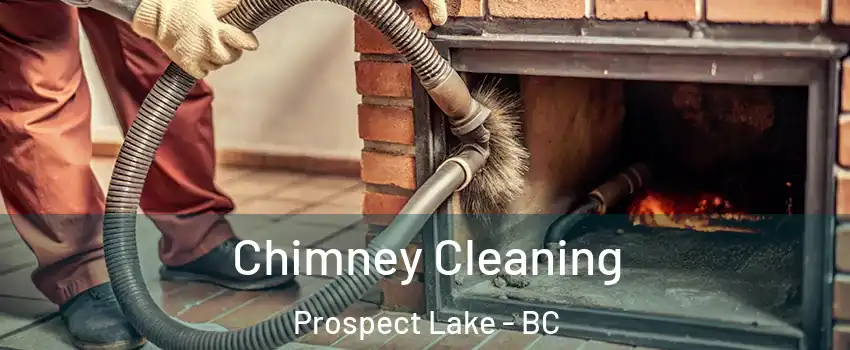  Chimney Cleaning Prospect Lake - BC