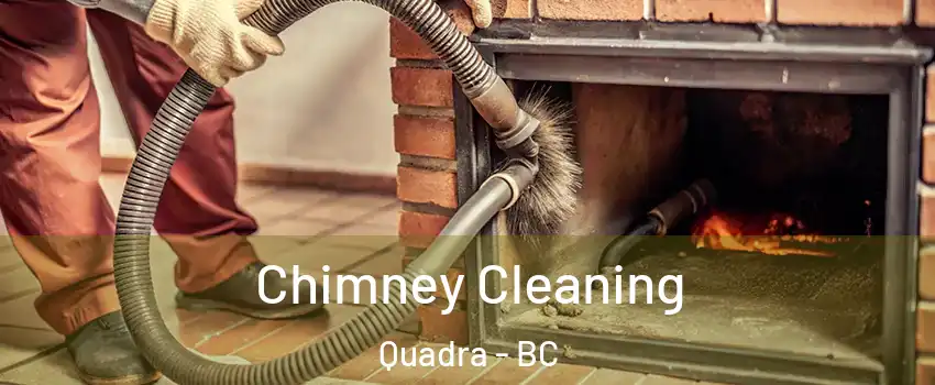  Chimney Cleaning Quadra - BC
