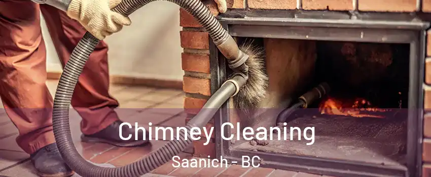 Chimney Cleaning Saanich - BC
