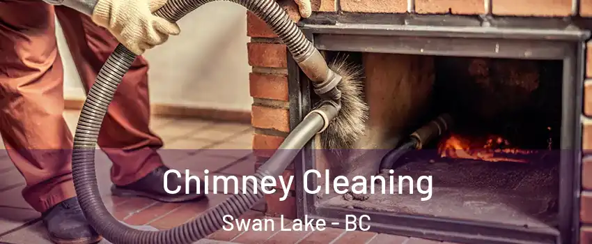  Chimney Cleaning Swan Lake - BC