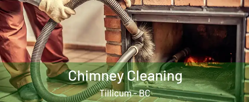  Chimney Cleaning Tillicum - BC