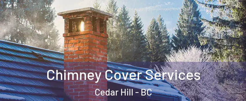Chimney Cover Services Cedar Hill - BC