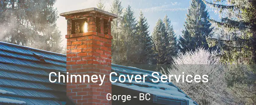 Chimney Cover Services Gorge - BC