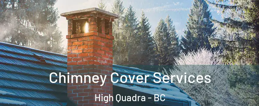  Chimney Cover Services High Quadra - BC