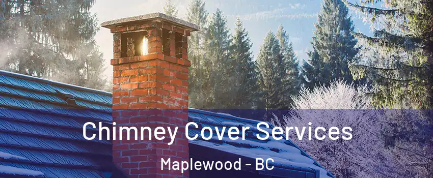 Chimney Cover Services Maplewood - BC