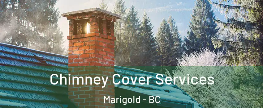 Chimney Cover Services Marigold - BC