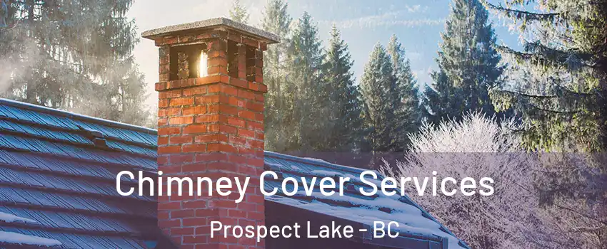  Chimney Cover Services Prospect Lake - BC