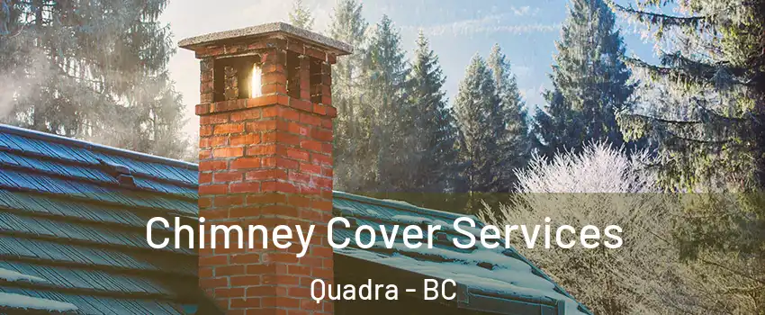 Chimney Cover Services Quadra - BC