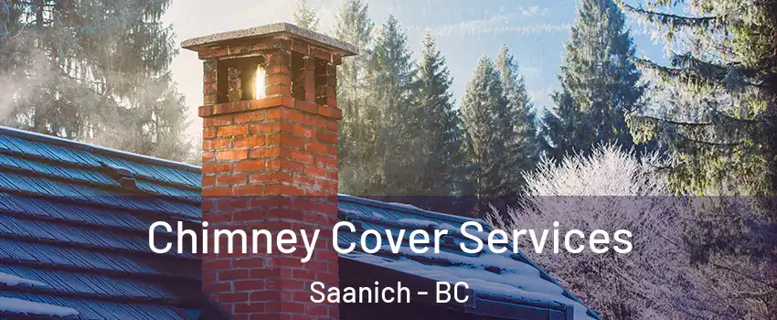  Chimney Cover Services Saanich - BC