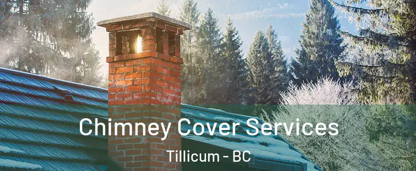 Chimney Cover Services Tillicum - BC