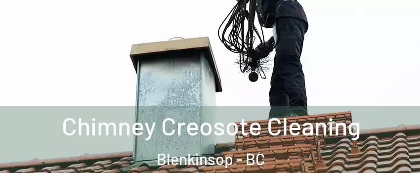  Chimney Creosote Cleaning Blenkinsop - BC