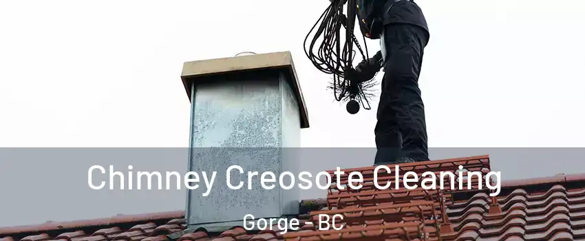  Chimney Creosote Cleaning Gorge - BC