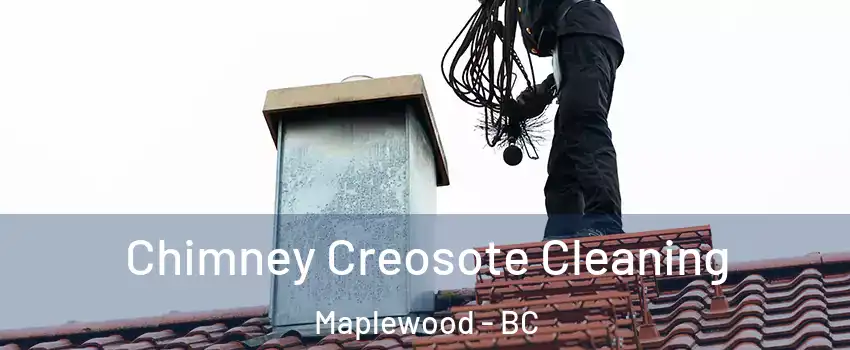 Chimney Creosote Cleaning Maplewood - BC
