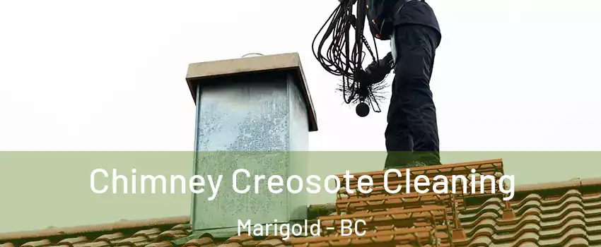  Chimney Creosote Cleaning Marigold - BC