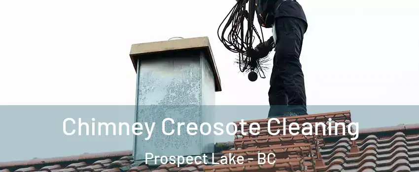  Chimney Creosote Cleaning Prospect Lake - BC