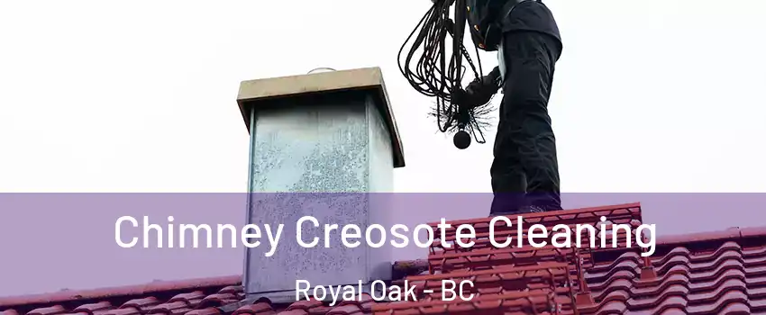 Chimney Creosote Cleaning Royal Oak - BC