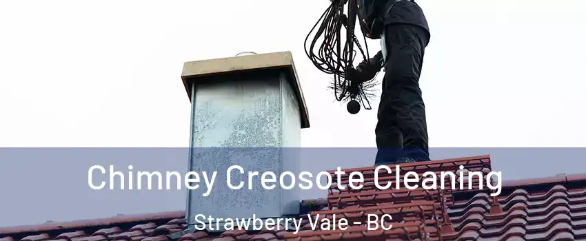 Chimney Creosote Cleaning Strawberry Vale - BC