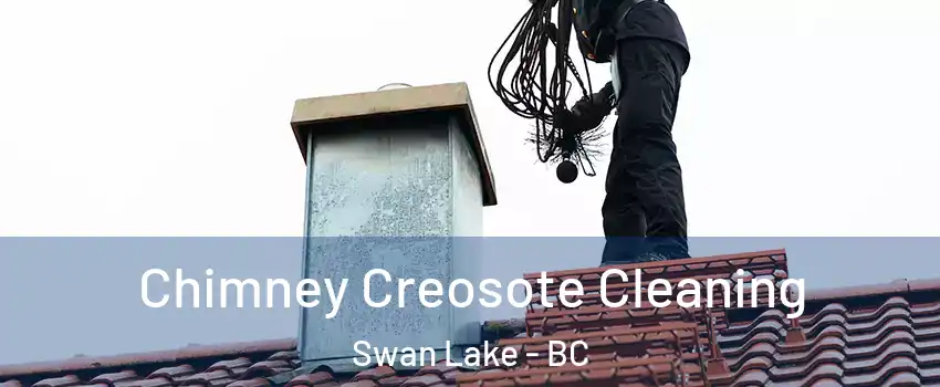  Chimney Creosote Cleaning Swan Lake - BC