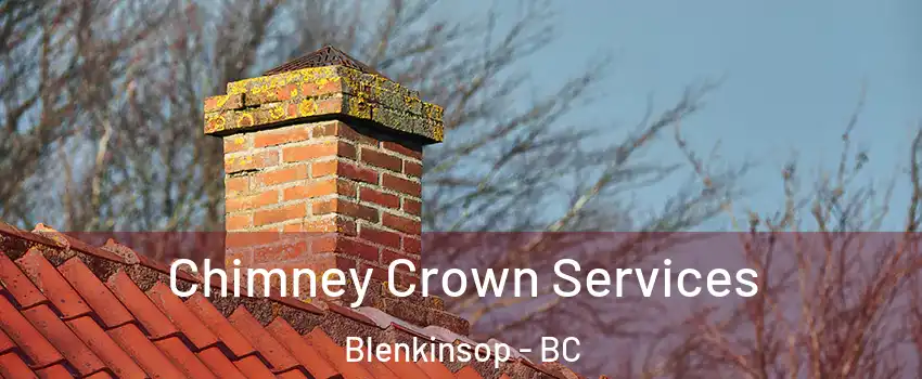  Chimney Crown Services Blenkinsop - BC