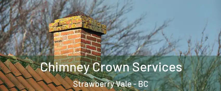  Chimney Crown Services Strawberry Vale - BC